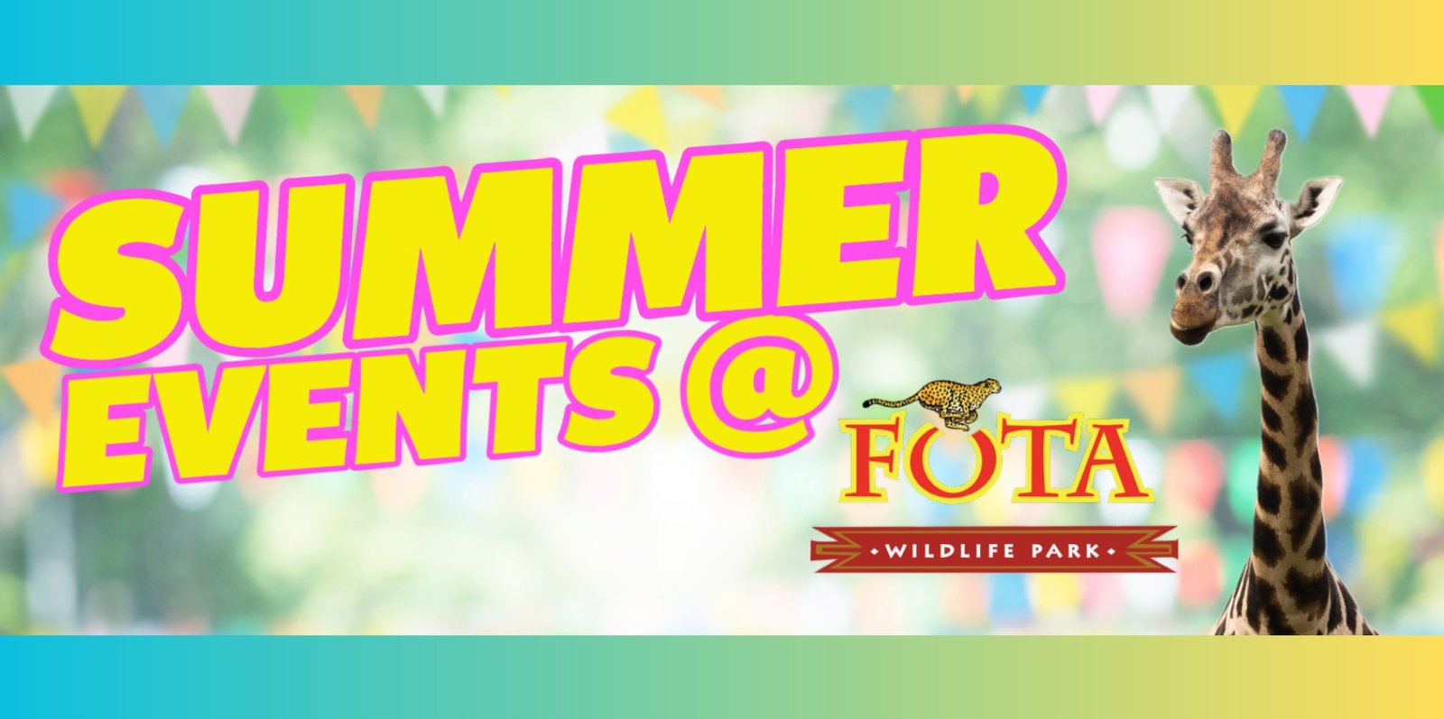 Fota Wildlife Park Summer Events 2023